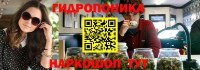 мяу мяу мука Пенза