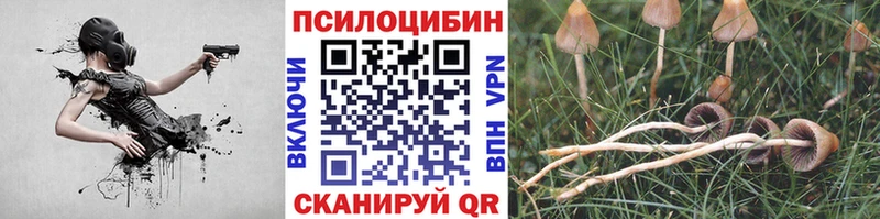 где найти ссылка на мегу tor Псилоцибиновые грибы Psilocybine cubensis Чистополь