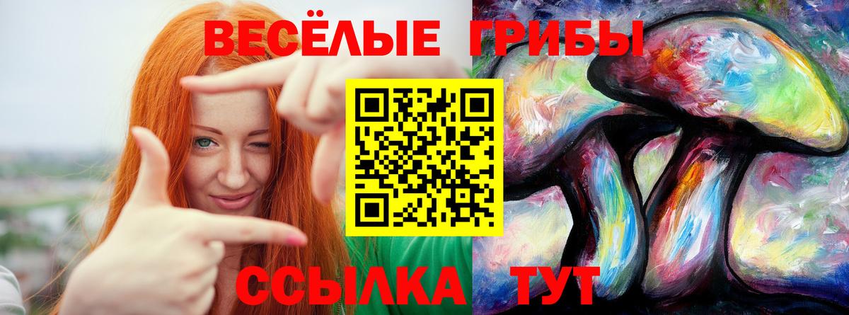 Меф МЯУ МЯУ кристаллы  MDMA  МАРИХУАНА  Вход с VPN  Чистополь  Кокаин  ГАШ 